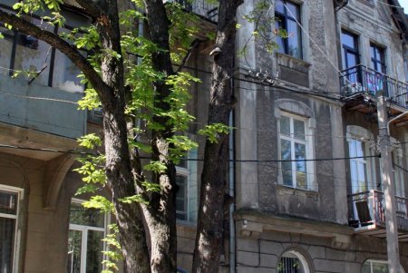 Прогулка по тихому Мукачевскому переулку (фоторепортаж) 