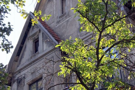Прогулка по тихому Мукачевскому переулку (фоторепортаж) 