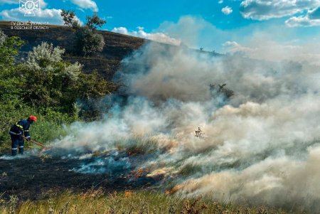В Одесской области за неделю пожары уничтожили почти 10 кубометров природных экосистем