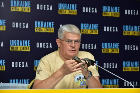 Неравнодушные горожане спасли трех лебедей и принесли в зоопарк