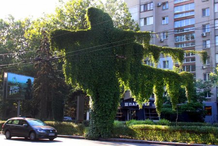 Зеленый туннель Одессы - Адмиральский проспект (фоторепортаж)