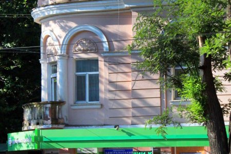 Зеленый туннель Одессы - Адмиральский проспект (фоторепортаж)