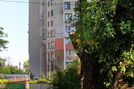 Зеленый туннель Одессы - Адмиральский проспект (фоторепортаж)