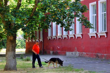 Зеленый туннель Одессы - Адмиральский проспект (фоторепортаж)