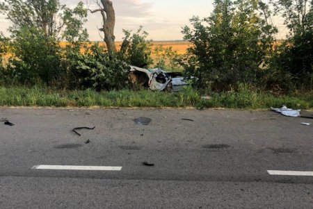 В Болградском районе водитель врезался в дерево и погиб: двое пассажиров госпитализированы (фото)