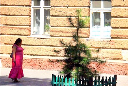 Улица Болгарская — ровесница Одессы (фоторепортаж)