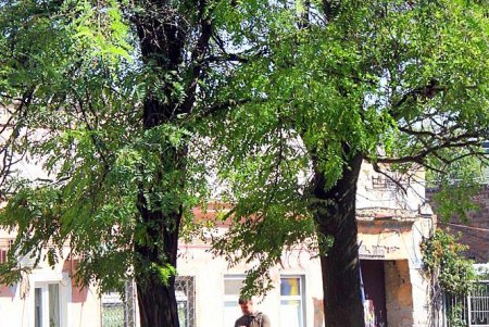 Улица Болгарская — ровесница Одессы (фоторепортаж)