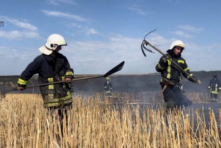 В Одесской области огнем уничтожено 10 гектаров пшеничного поля (фото, видео) 