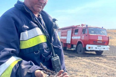 В Одесской области огнем уничтожено 10 гектаров пшеничного поля (фото, видео) 