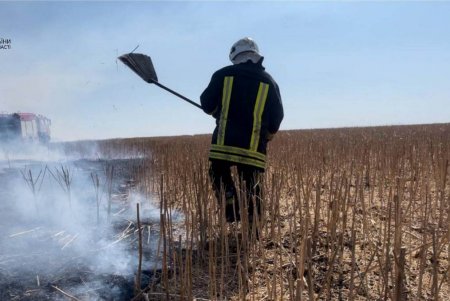 В Одесской области огнем уничтожено 10 гектаров пшеничного поля (фото, видео) 
