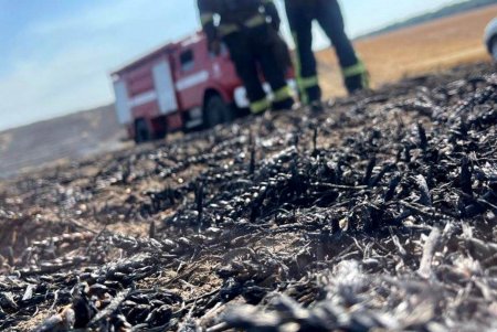 В Одесской области огнем уничтожено 10 гектаров пшеничного поля (фото, видео) 