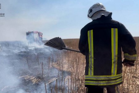 В Одесской области огнем уничтожено 10 гектаров пшеничного поля (фото, видео) 