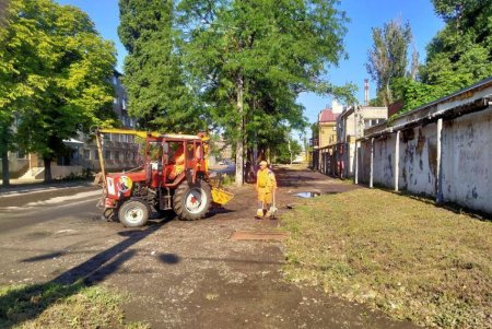 Мусор, ил, поваленные деревья: во время ливня в Одессе выпала месячная норма осадков (фото, обновлено)