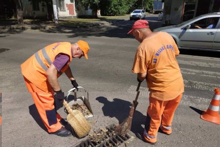 Мусор, ил, поваленные деревья: во время ливня в Одессе выпала месячная норма осадков (фото, обновлено)