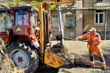 Мусор, ил, поваленные деревья: во время ливня в Одессе выпала месячная норма осадков (фото, обновлено)