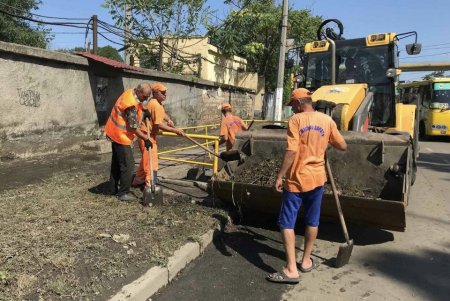 Мусор, ил, поваленные деревья: во время ливня в Одессе выпала месячная норма осадков (фото, обновлено)