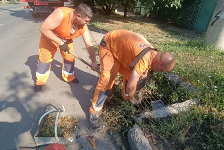 Мусор, ил, поваленные деревья: во время ливня в Одессе выпала месячная норма осадков (фото, обновлено)