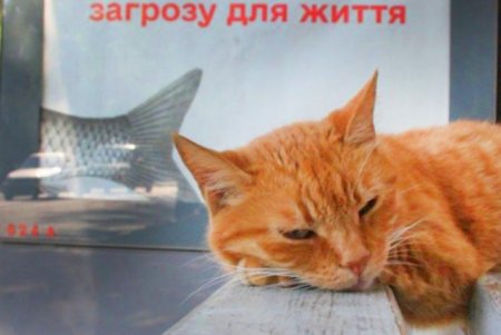 Улица Ризовская - одна из старейших улиц Молдаванки (фоторепортаж)