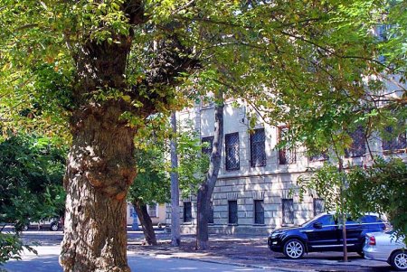 Улица Ризовская - одна из старейших улиц Молдаванки (фоторепортаж)