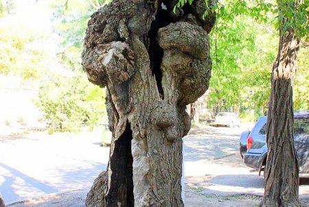 Улица Ризовская - одна из старейших улиц Молдаванки (фоторепортаж)
