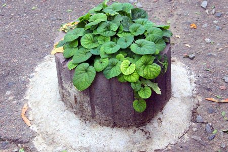 Улица Ризовская - одна из старейших улиц Молдаванки (фоторепортаж)