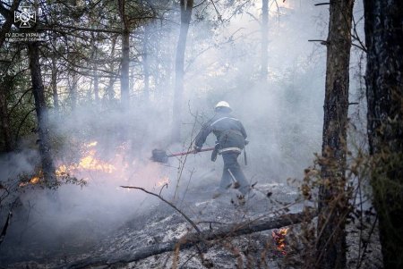 В Одесском районе спасатели ликвидировали масштабный пожар, угрожавший перекинуться на дачный массив (фото, видео)