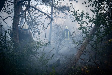 В Одесском районе спасатели ликвидировали масштабный пожар, угрожавший перекинуться на дачный массив (фото, видео)
