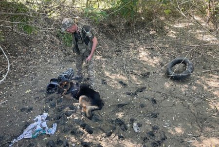 Пограничный пес выявил в Измаильском районе нарушителя, который хотел переплыть через Дунай в Румынию (фото)