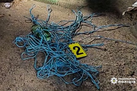 Избила, обожгла, связала и закрыла в сарае: за издевательства над братом жительница Белгород-Днестровского района может попасть в тюрьму (фото, видео)