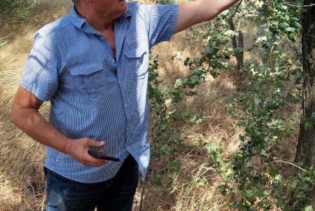 В Одесском зоопарке после лечения выпустили на волю соколов и сычей, а пожарные спасли стрижа (фото)