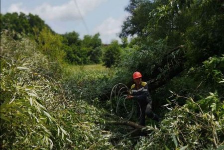 От ночного удара стихии без электричества остались 42 населенных пункта региона, больше всех – в Одесском районе