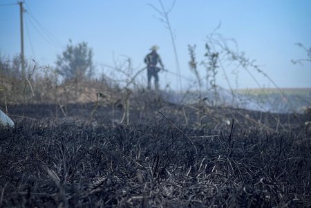 В Одесской области потушили пожар на площади в 10 тыс. квадратных метров (фото)