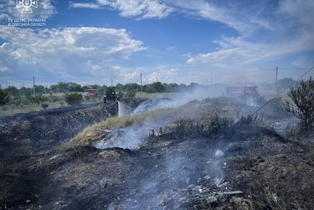 В Одесской области потушили пожар на площади в 10 тыс. квадратных метров (фото)