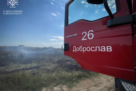 В Одесской области потушили пожар на площади в 10 тыс. квадратных метров (фото)
