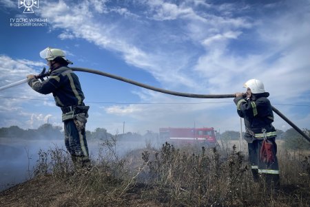 В Одесской области потушили пожар на площади в 10 тыс. квадратных метров (фото)
