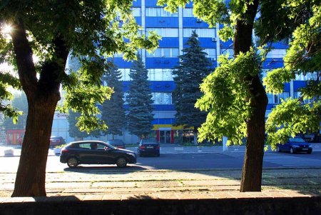 Голубые ели, платаны, липы и пирамидальные дубы: Куликовое поле одна из самых больших площадей Одессы (фоторепортаж)