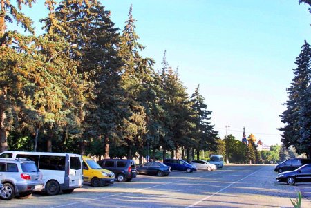 Голубые ели, платаны, липы и пирамидальные дубы: Куликовое поле одна из самых больших площадей Одессы (фоторепортаж)