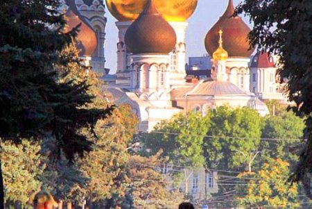 Голубые ели, платаны, липы и пирамидальные дубы: Куликовое поле одна из самых больших площадей Одессы (фоторепортаж)