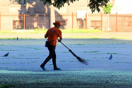 Голубые ели, платаны, липы и пирамидальные дубы: Куликовое поле одна из самых больших площадей Одессы (фоторепортаж)