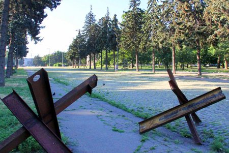 Голубые ели, платаны, липы и пирамидальные дубы: Куликовое поле одна из самых больших площадей Одессы (фоторепортаж)