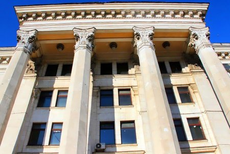 Голубые ели, платаны, липы и пирамидальные дубы: Куликовое поле одна из самых больших площадей Одессы (фоторепортаж)