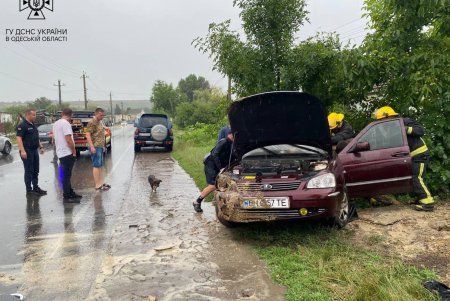 В Березовке доставали водителя из искореженного авто (фото)