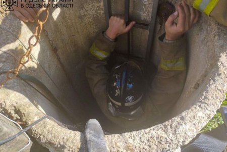 В Ширяево спасатели помогли пожилой женщине выбраться из колодца, в который она упала (фото)