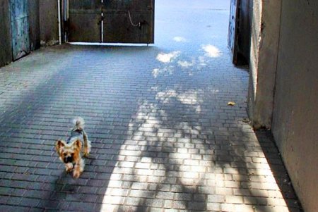 Увлекательная прогулка по улице Преображенской (фоторепортаж)