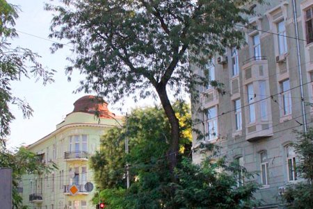 Увлекательная прогулка по улице Преображенской (фоторепортаж)