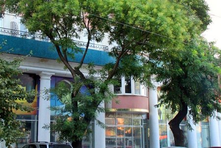 Увлекательная прогулка по улице Преображенской (фоторепортаж)