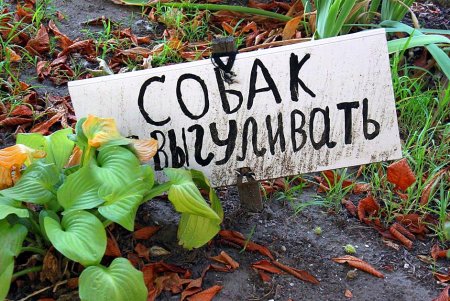 Улица Бунина самая артистическая улица Одессы (фоторепортаж)