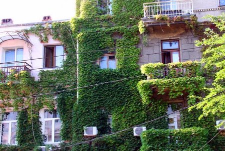 Улица Бунина самая артистическая улица Одессы (фоторепортаж)