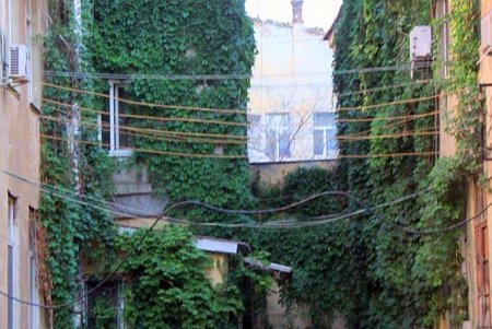Улица Бунина самая артистическая улица Одессы (фоторепортаж)