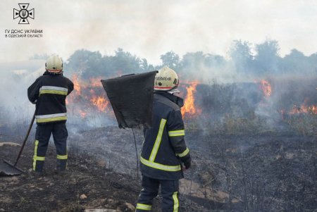 В Пересыпском районе города горели поля орошения: пожар удалось потушить спустя четыре часа (фото, видео)
